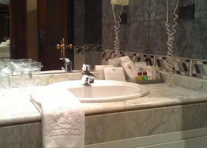 贝戈尼亚公园酒店 酒店 希洪